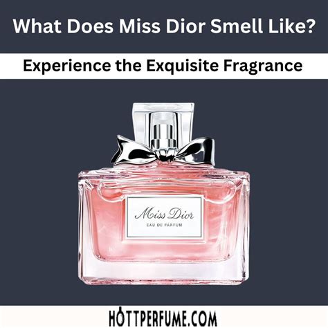 notes in miss dior|what does miss dior perfume smell like.